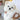 SOSODORI - MINI BICHON